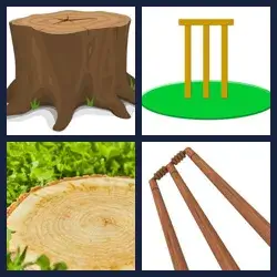 4 Pics 1 Word Level 3791