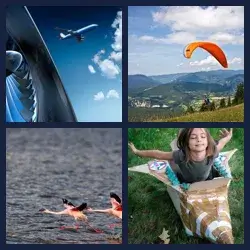 4 Pics 1 Word Level 3804