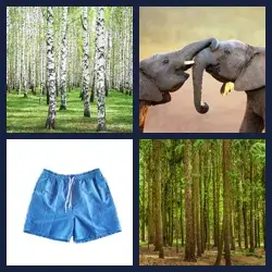 4 Pics 1 Word Level 3812