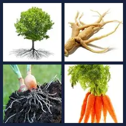 4 Pics 1 Word Level 3813