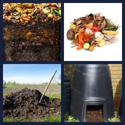 4 Pics 1 Word Level 3817