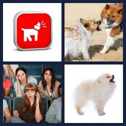 4 Pics 1 Word Level 3837