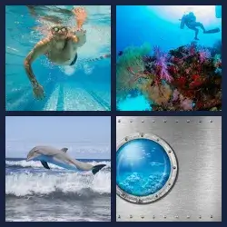 4 Pics 1 Word Level 3839