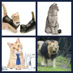 4 Pics 1 Word Level 3844