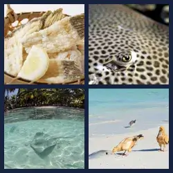 4 Pics 1 Word Level 3847