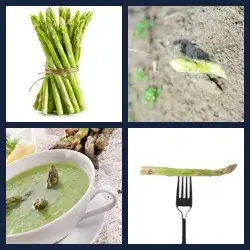 4 Pics 1 Word Level 3877