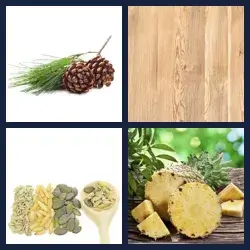 4 Pics 1 Word Level 3911