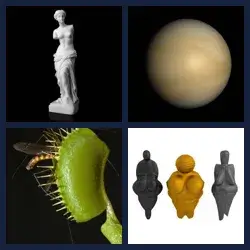 4 Pics 1 Word Level 3917