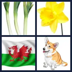 4 Pics 1 Word Level 3927