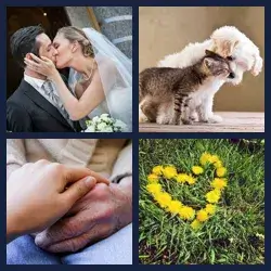 4 Pics 1 Word Level 3928