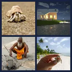 4 Pics 1 Word Level 3929