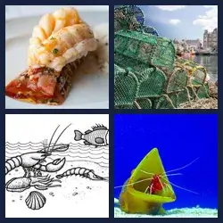 4 Pics 1 Word Level 3933