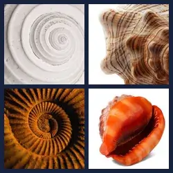 4 Pics 1 Word Level 3935