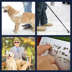 4 Pics 1 Word Level 3949