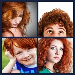 4 Pics 1 Word Level 3950