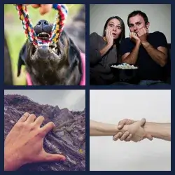 4 Pics 1 Word Level 3964