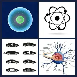 4 Pics 1 Word Level 3972