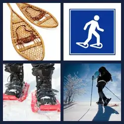 4 Pics 1 Word Level 4010