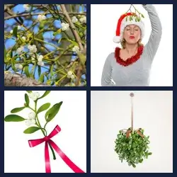 4 Pics 1 Word Level 4034