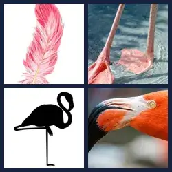 4 Pics 1 Word Level 4055