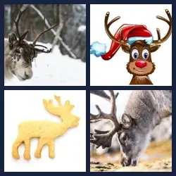 4 Pics 1 Word Level 4058