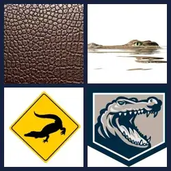 4 Pics 1 Word Level 4082