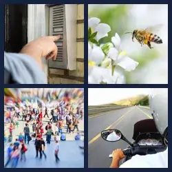 4 Pics 1 Word Level 4086