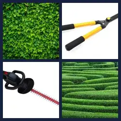 4 Pics 1 Word Level 4101