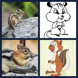 4 Pics 1 Word Level 4114