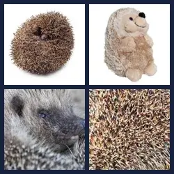 4 Pics 1 Word Level 4123