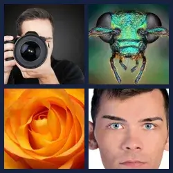 4 Pics 1 Word Level 4161
