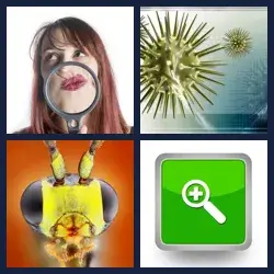 4 Pics 1 Word Level 4171