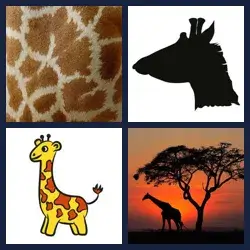 4 Pics 1 Word Level 4232