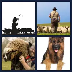 4 Pics 1 Word Level 4238