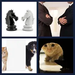 4 Pics 1 Word Level 4248