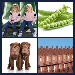 4 Pics 1 Word Level 4258