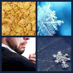 4 Pics 1 Word Level 4262